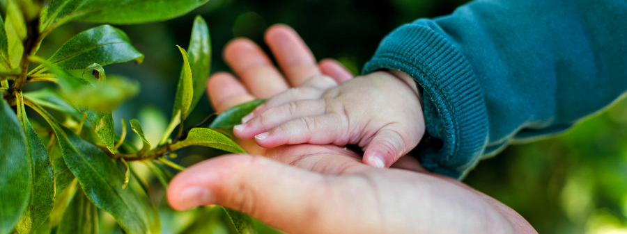 Helping Hands